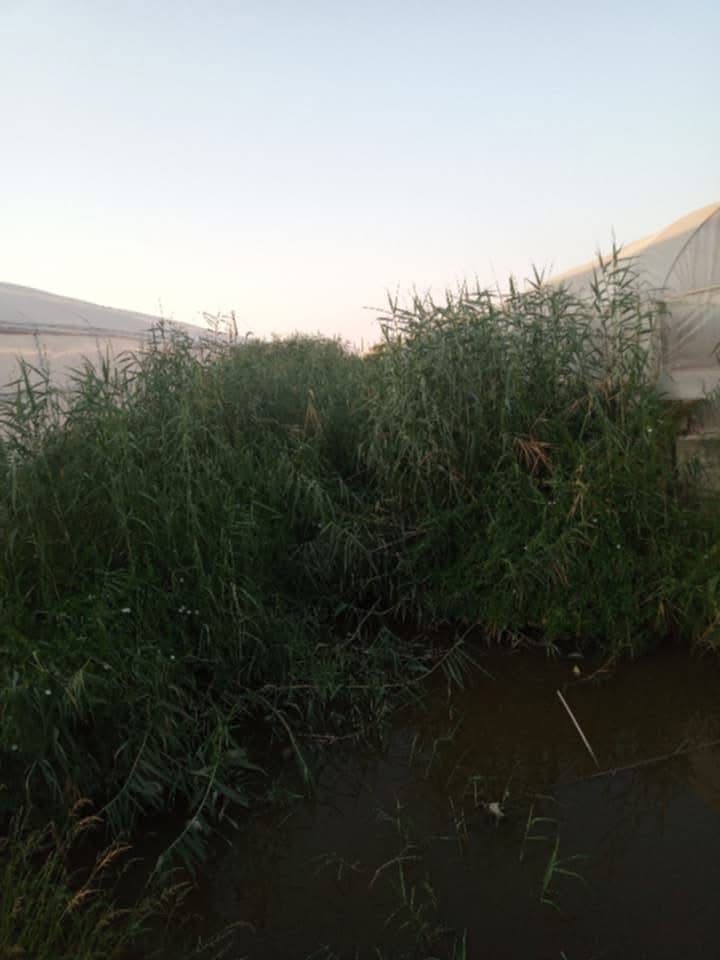 Kumluca'da Sel Önlemleri… Kanal Temizliği 1 Eylül'de Başlıyor!