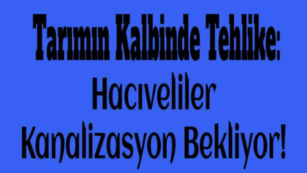 Hacıveliler’de Kanalizasyon Sorunu… Sağlık ve Çevre Tehlikesi Kapıda!