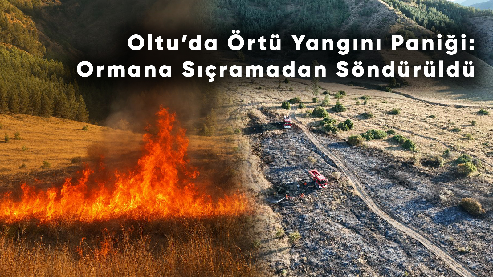 Oltu'da Örtü Yangını Paniği: Ormana Sıçramadan Söndürüldü