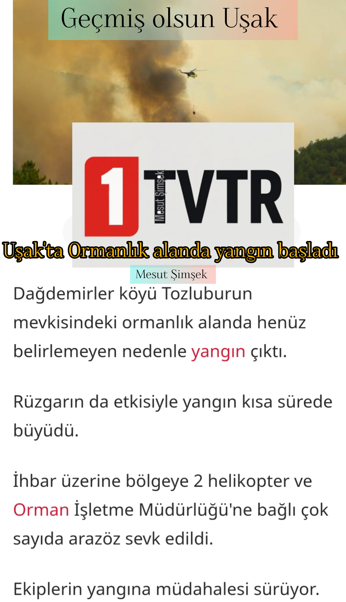 Uşak'ta Ormanlık alanda yangın