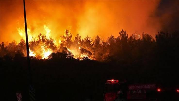 ANKARA-GÖLBAŞI EYMİR Gölü Yakınında Orman Yangını