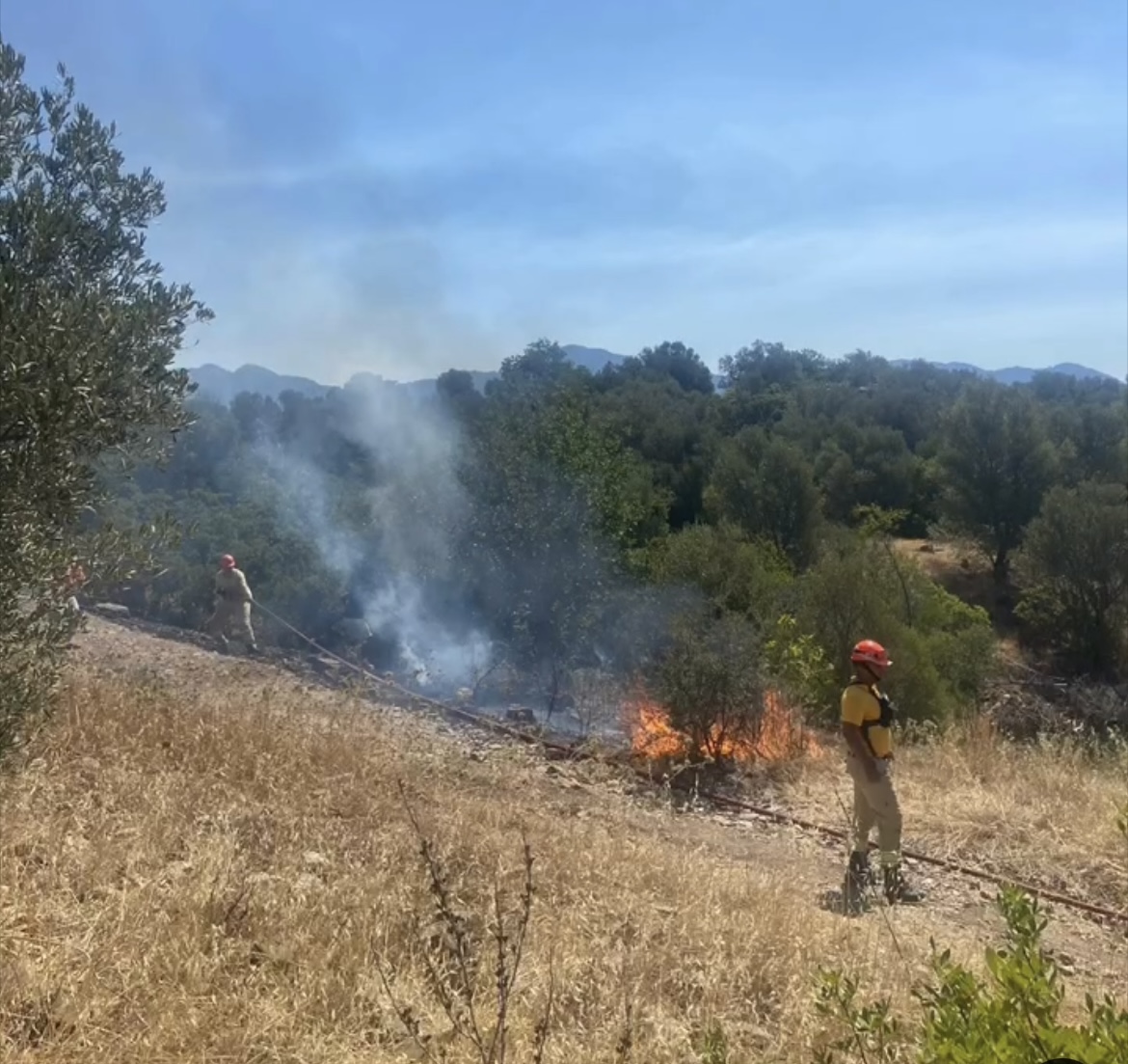 DUYARLILIK FELAKETİ ÖNLEDİ