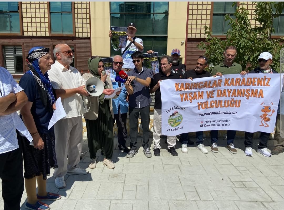 27 Dağ Keçisi İçin Açılan Av İhalesi Rize’de Tepki Çekti