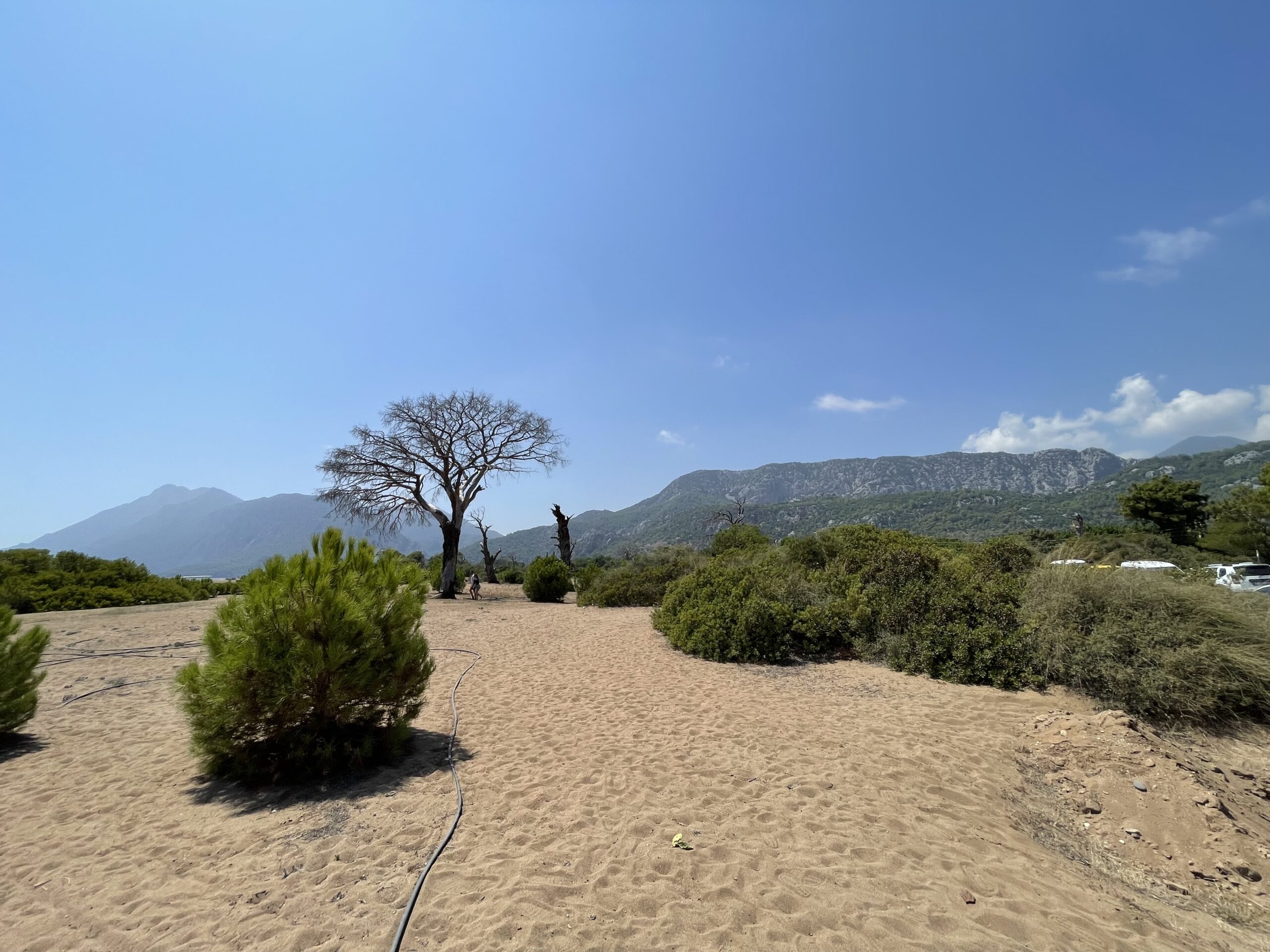 Çıralı Kaderiyle Başbaşa