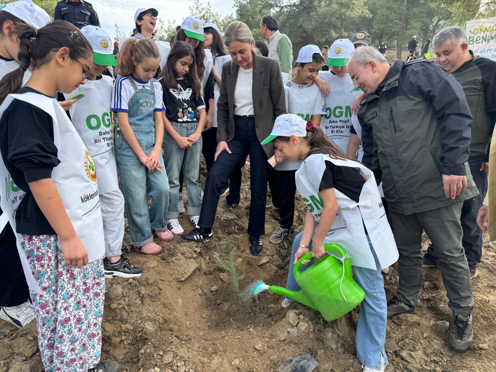 Yanan ormanların yerine Fidan dikimleri başladı